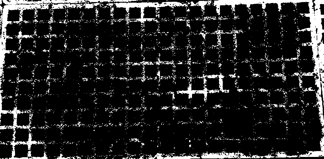 Tobacco bare seed seeding device and method