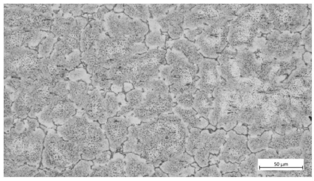 Rare earth magnesium alloy metallographic corrosive agent and metallographic sample preparation method thereof