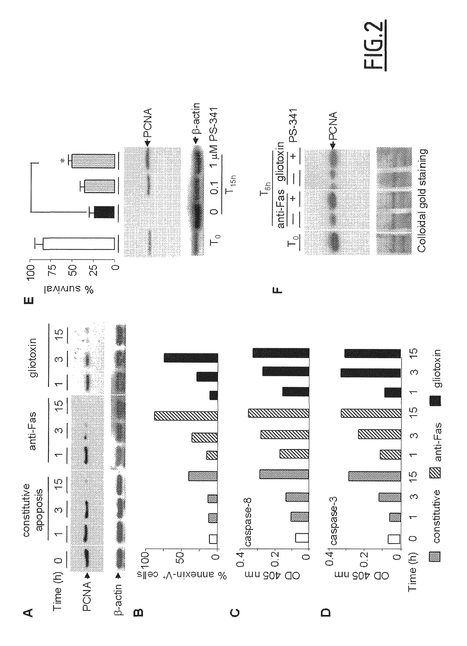 Compounds for the treatment of inflammation and neutropenia