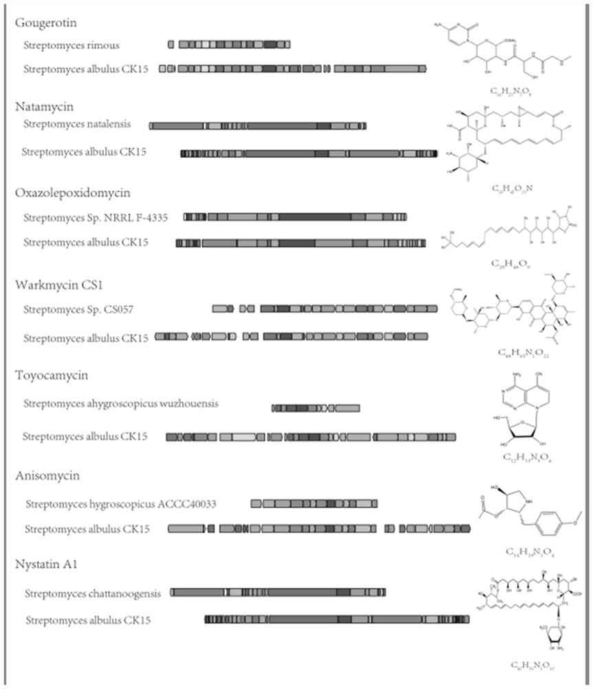 Preparation method of anisin, detection method of anisin and antibacterial application of anisin