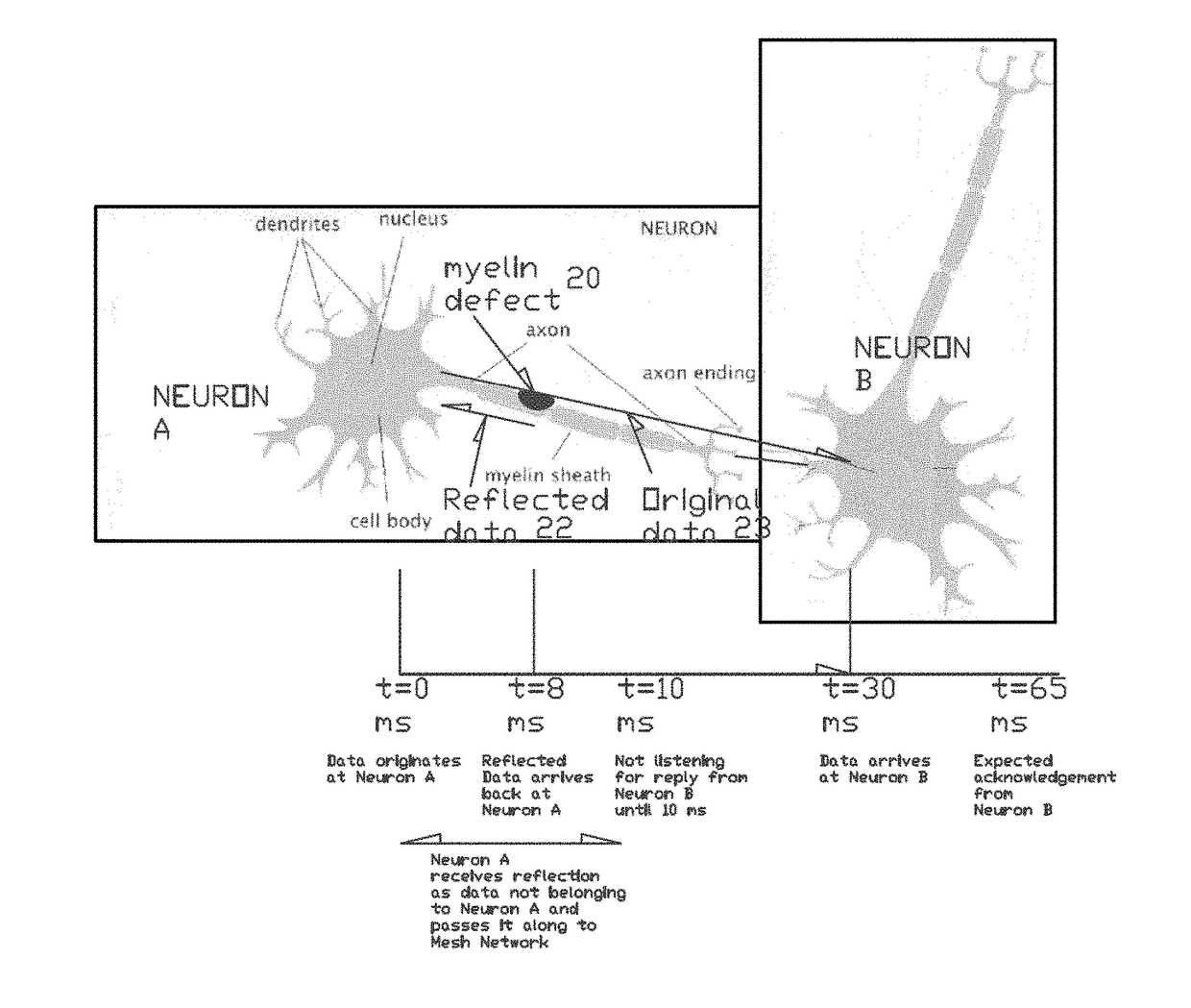 Root cause cure and preventative measure for schizophrenia and other mental illness