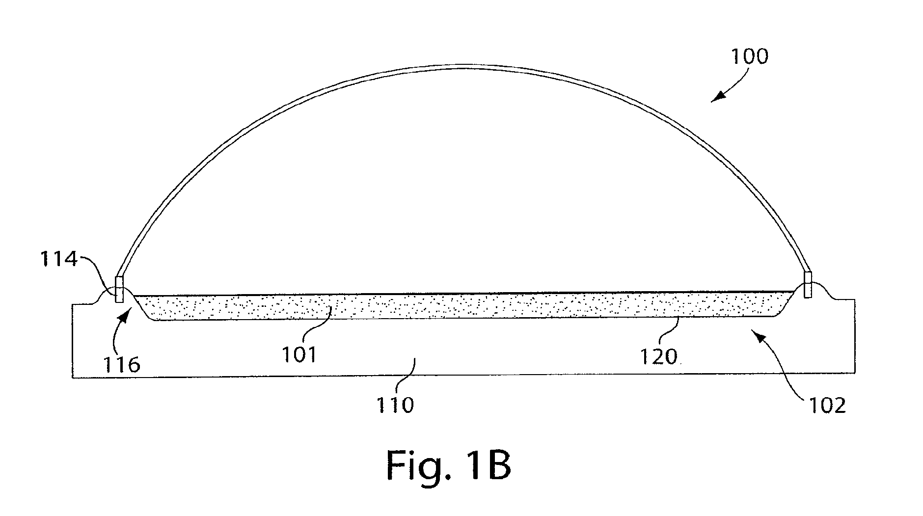 Photobioreactor Systems and Methods for Treating CO2-Enriched Gas and Producing Biomass