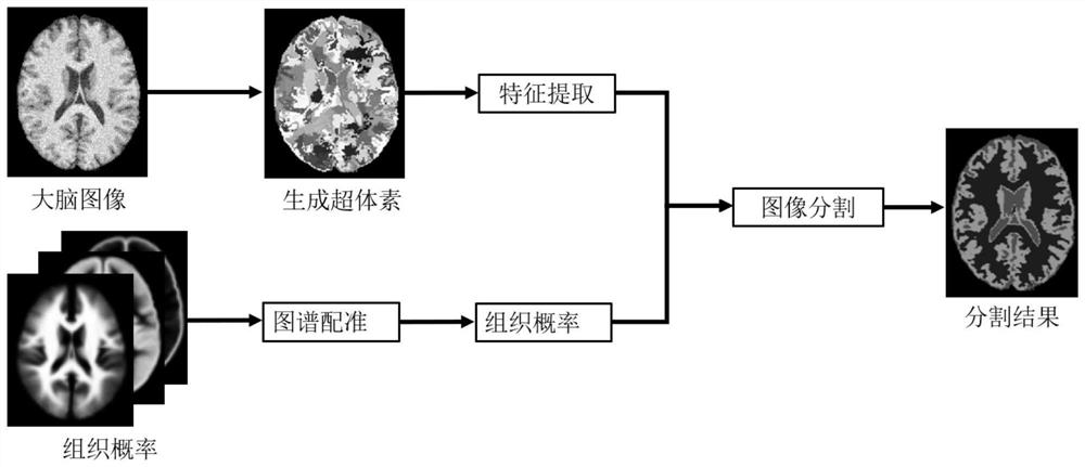 A Brain Tissue Segmentation Method Based on Regularized Graph Cut