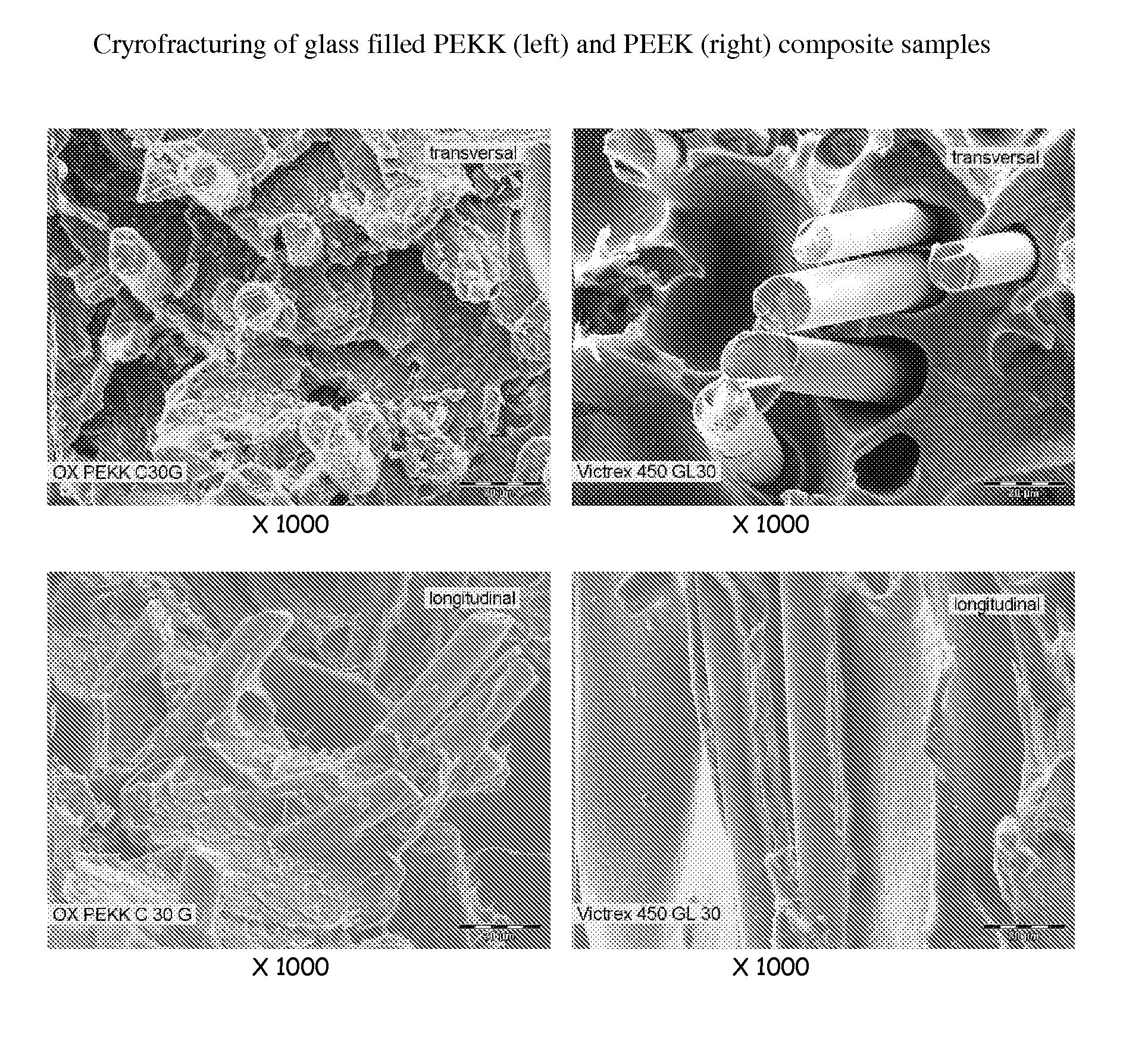 Fibers sized with polyetherketoneketones