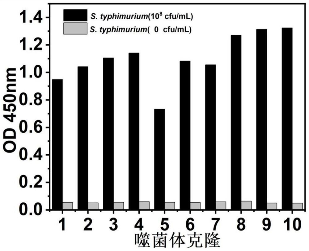 A kind of anti-salmonella typhimurium nanobody and its application