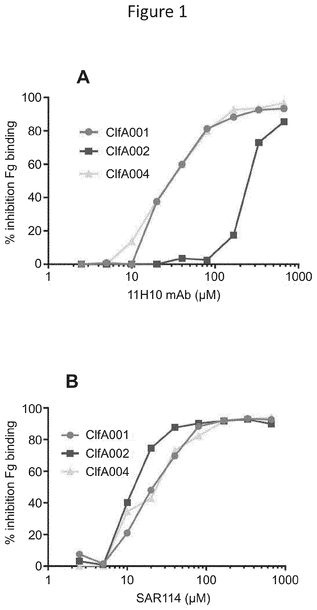 Antibody directed against <i>S. aureus </i>clumping factor a (ClfA)