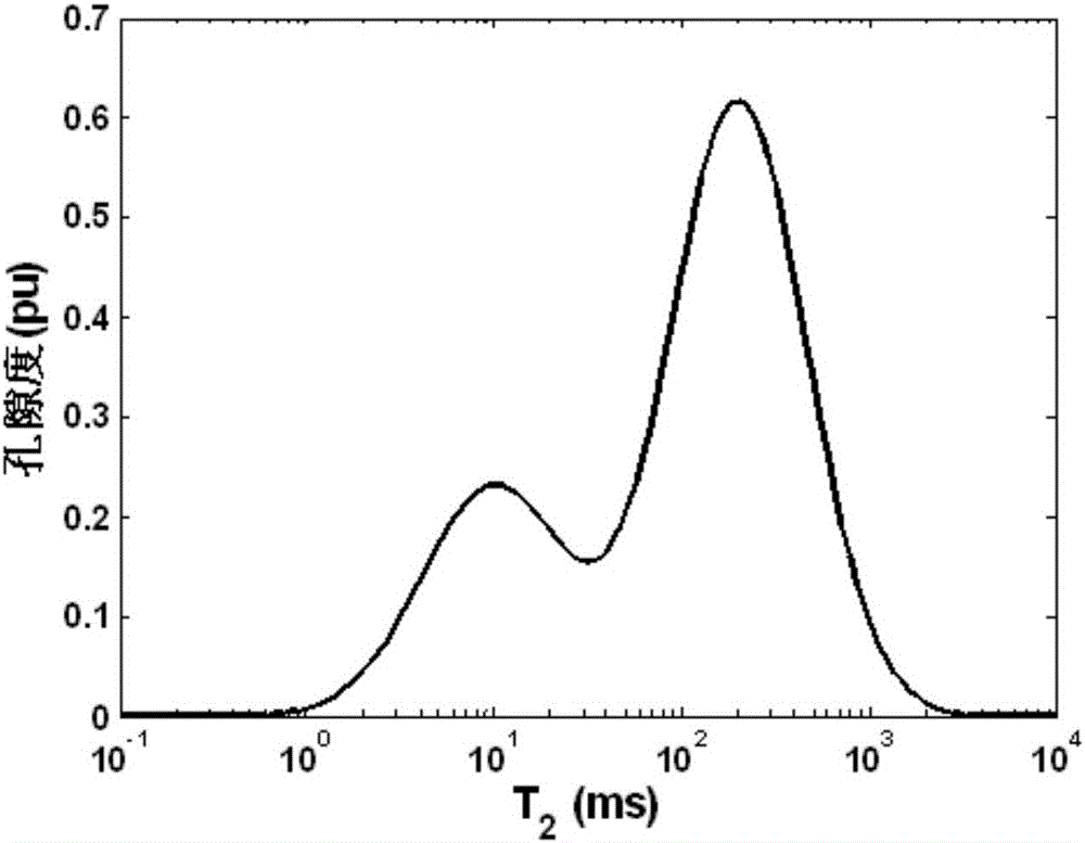 Nuclear magnetic resonance echo data inversion method based on two-parameter regularization and nuclear magnetic resonance echo data inversion device thereof