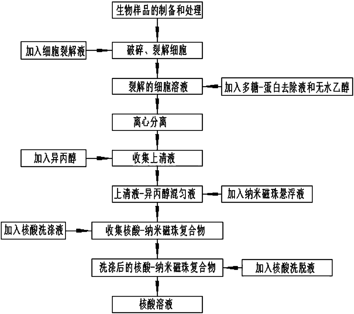 Nano magnetic bead based biological sample nucleic acid extracting and purifying method