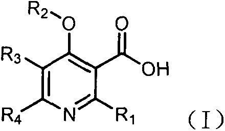 Novel preparation method of 4-alkoxy nicotinic acid compound