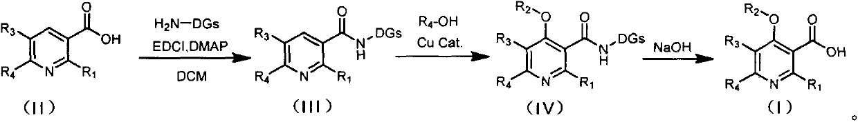 Novel preparation method of 4-alkoxy nicotinic acid compound