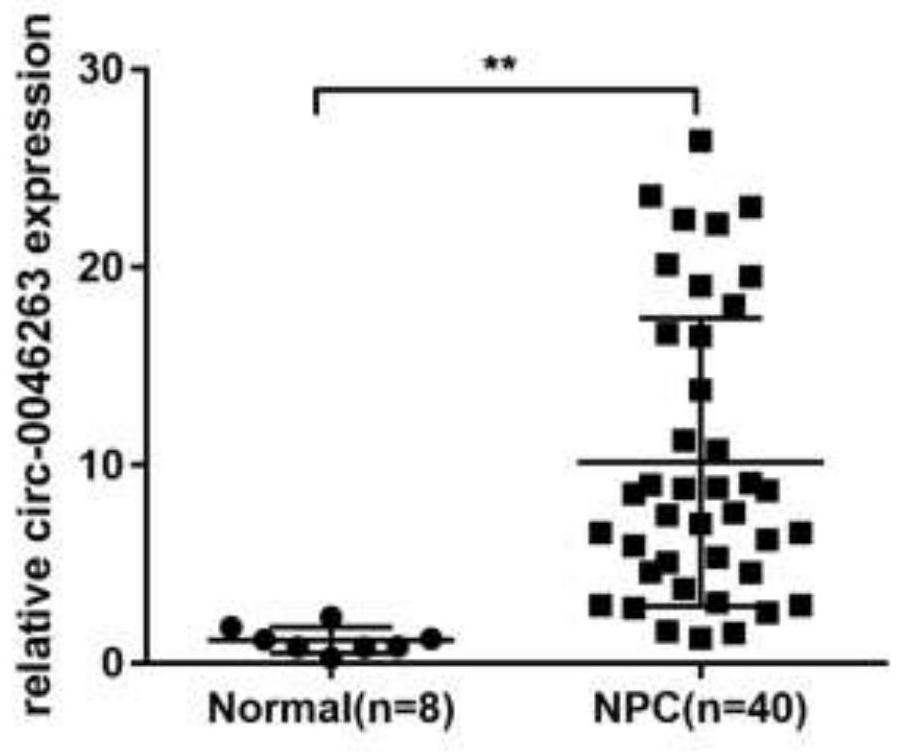 Biomarker for nasopharyngeal carcinoma metastasis diagnosis and/or prognosis evaluation