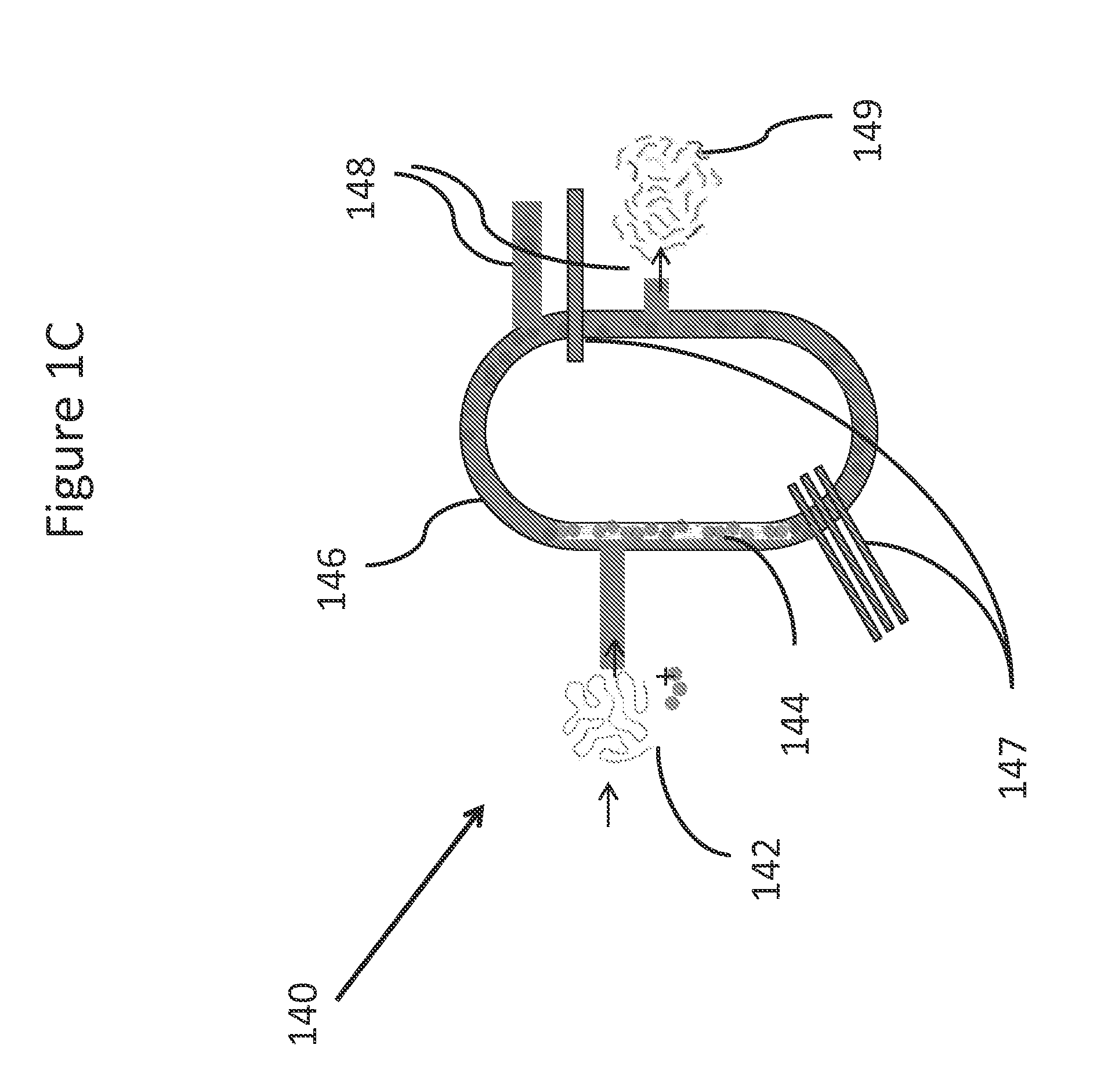 Systems and methods for genetic and biological analysis