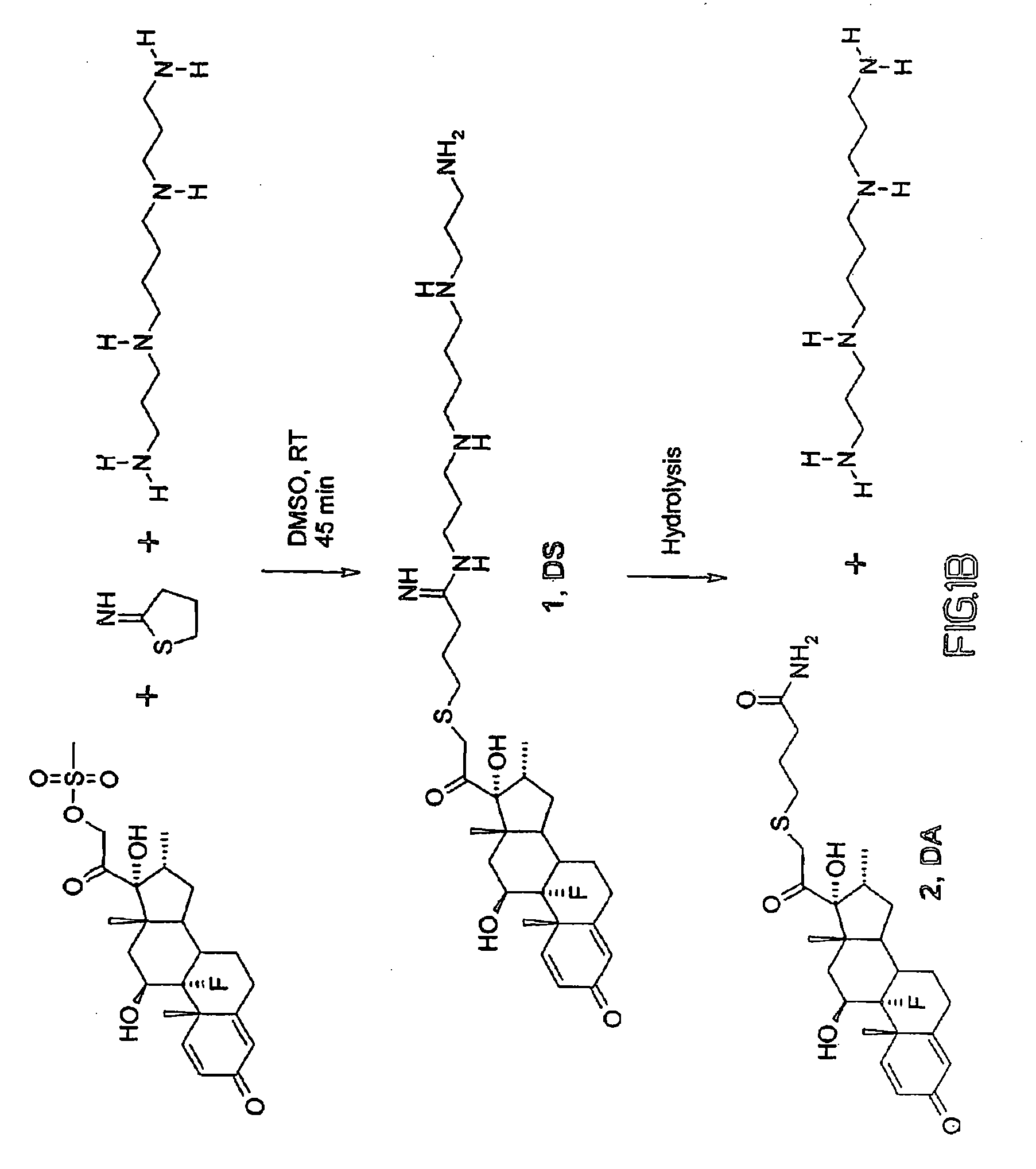 Synthesis and Use of Cationic Steroids for Anti-Inflammatory Drug Therapy