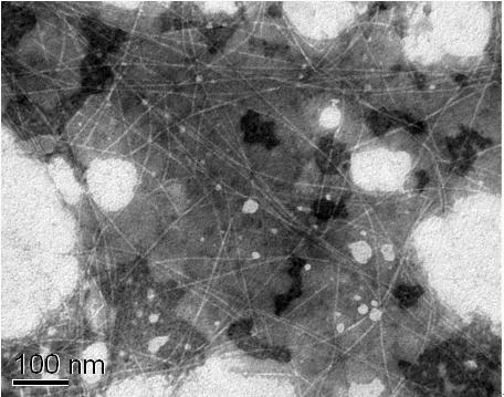 Preparation method of homogenized fine nano-cellulose fiber