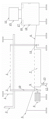 Automatic cleaning and drying device for fruits