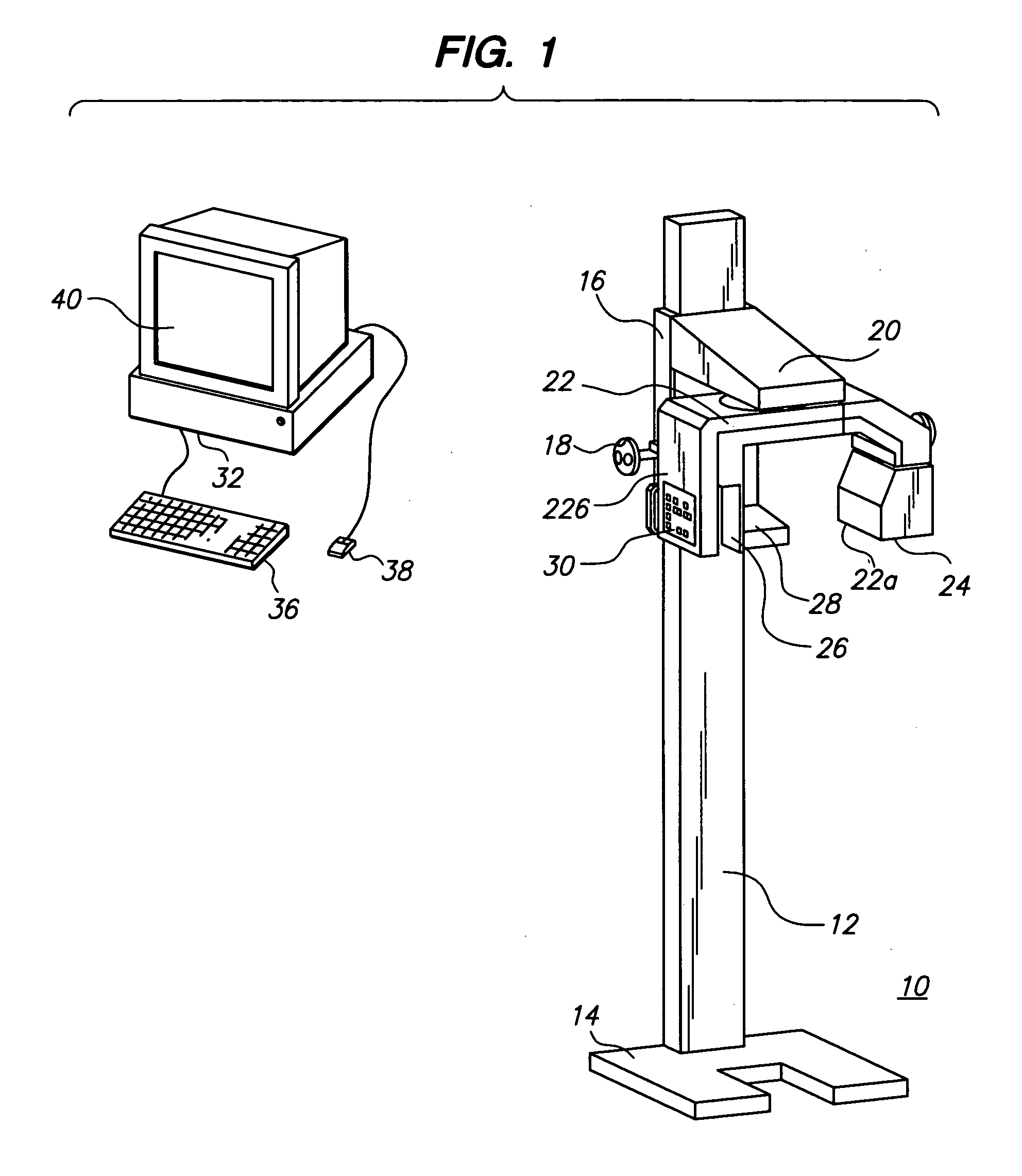 System and method for computing oral bone mineral density with a panoramic x-ray system