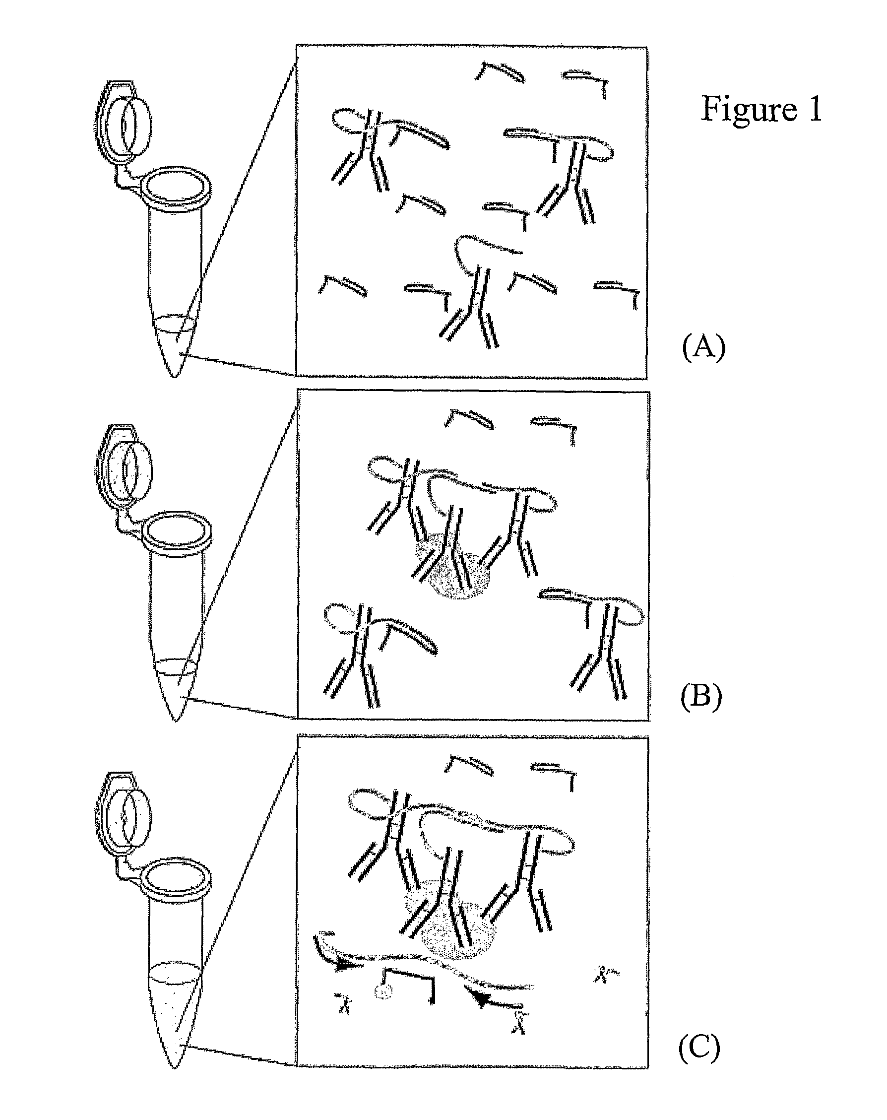 Method for analyte detection using proximity probes