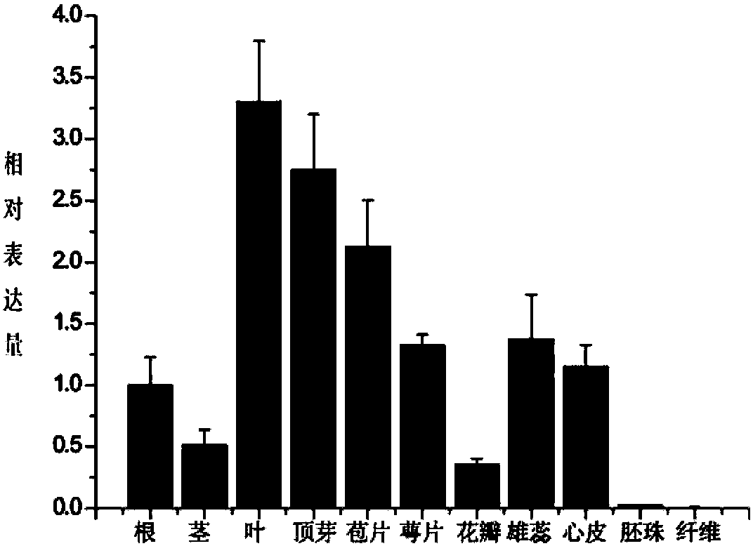 Upland cotton protein GhMADS22, and coding gene and application thereof