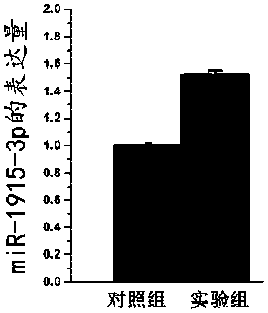 Use of nucleic acid in improving cell megakaryotic differentiation efficiency