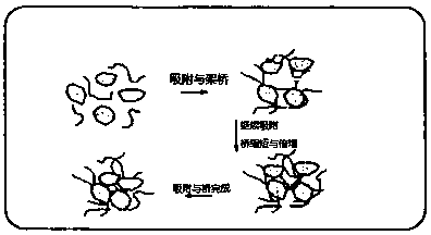 Electro-catalytic conditioning energy wave superposition resonance sludge deep dehydrating method