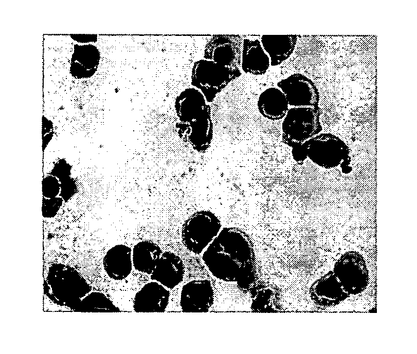 Cucurbitacin b and uses thereof