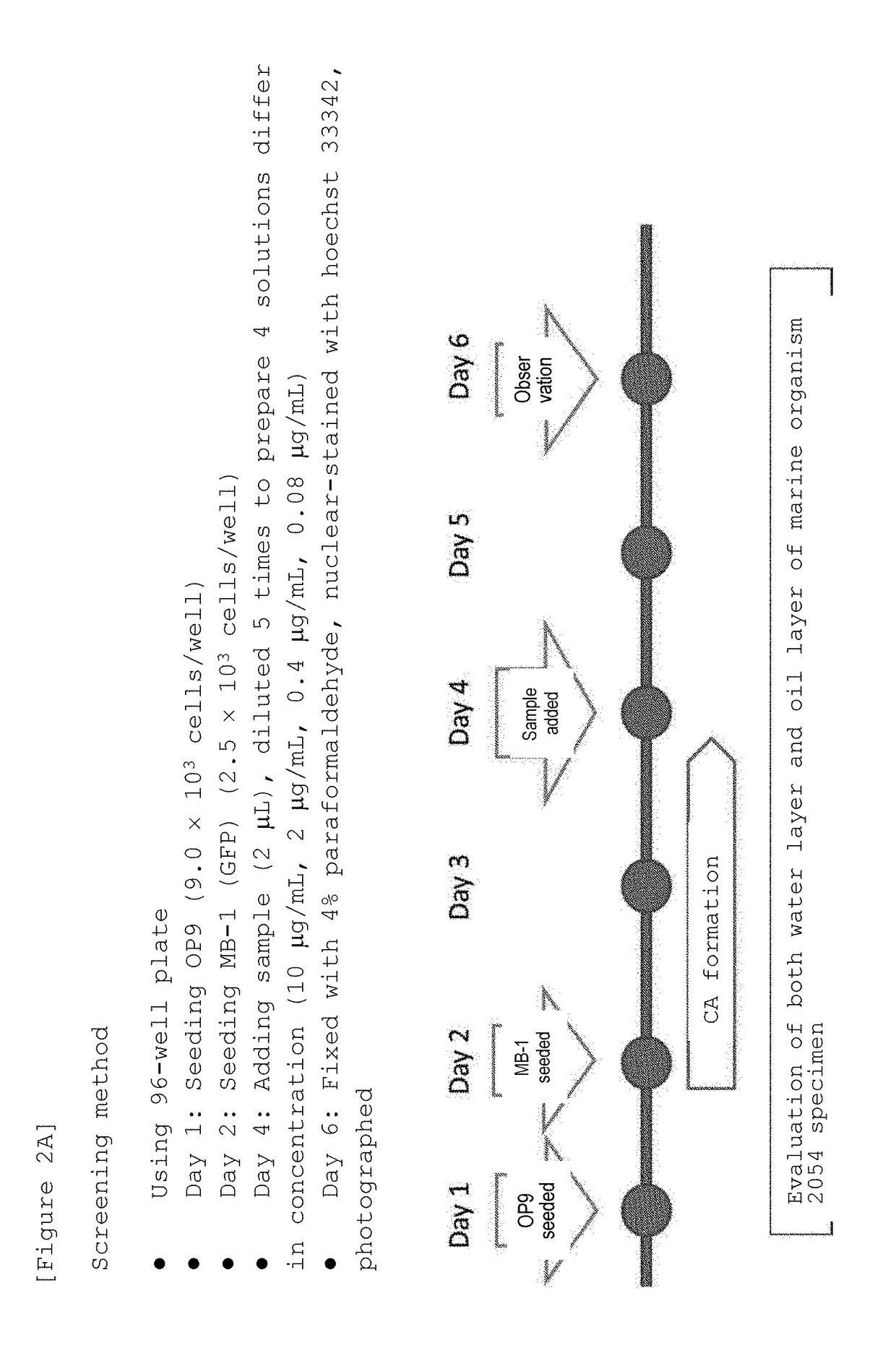 Marine organism-derived extract, compound, and medical composition having niche formation suppressing activity of leukemic stem cells