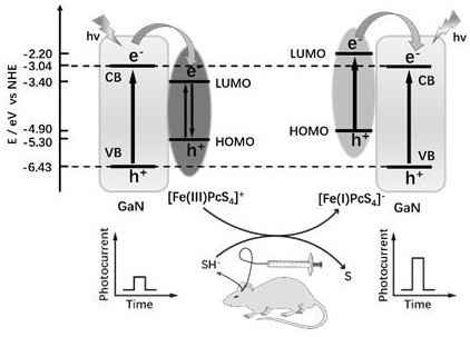 A kind of preparation method and application of hydrogen sulfide photoelectrochemical sensor