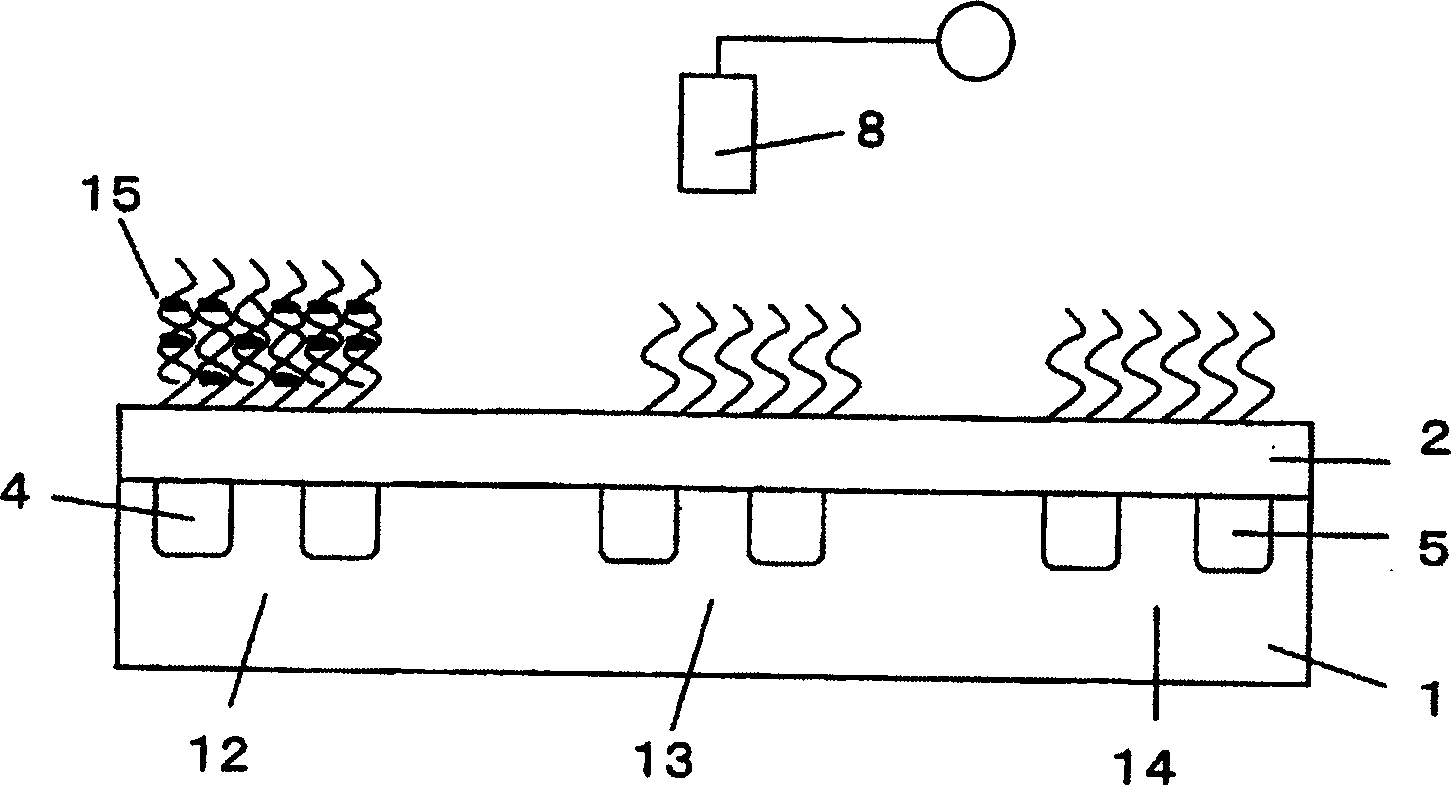 Potentionmetric DNA microarray, Process for producing same and method of analyzig nucleuic acid