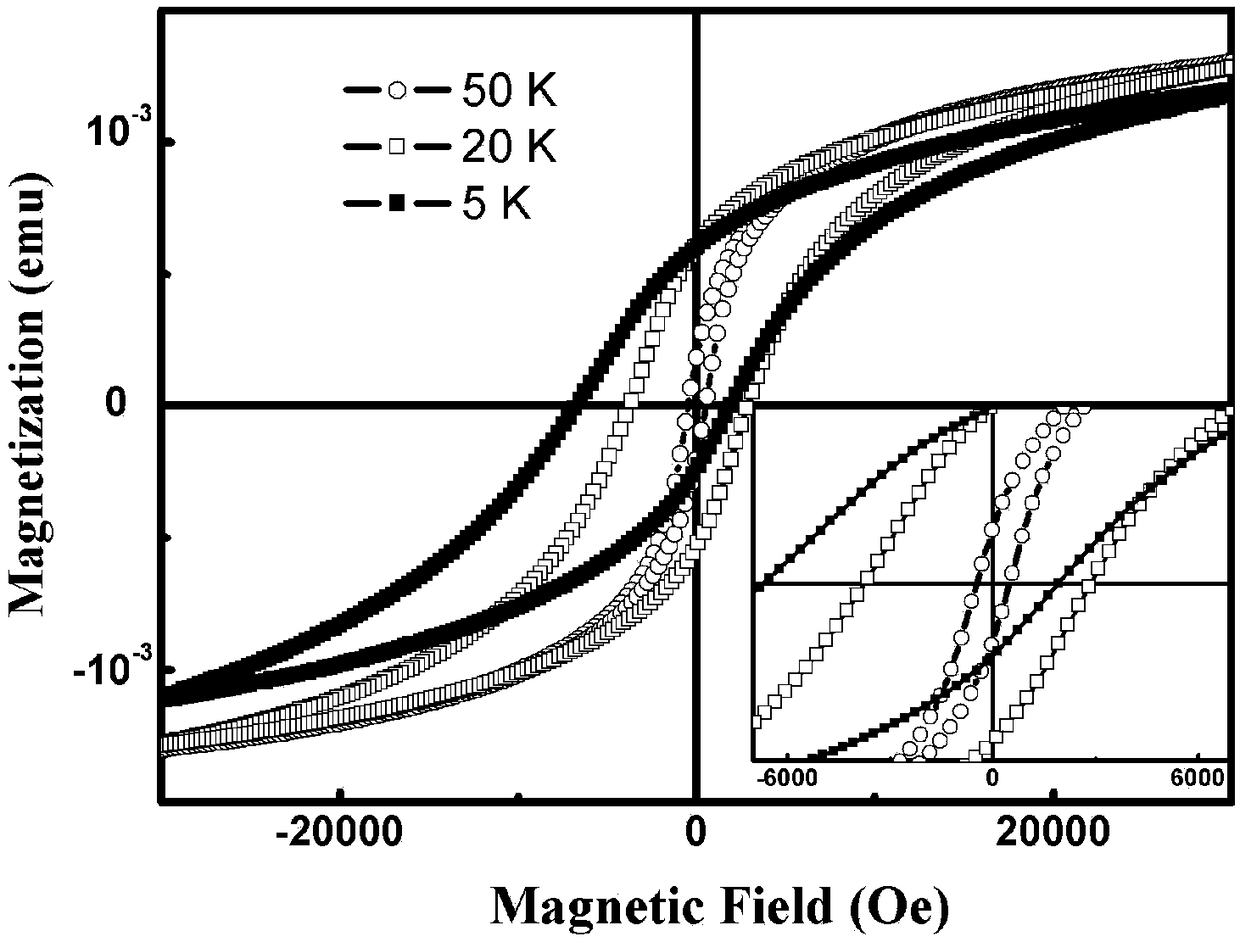 A preparation method of femn alloy nano film with strong exchange bias effect