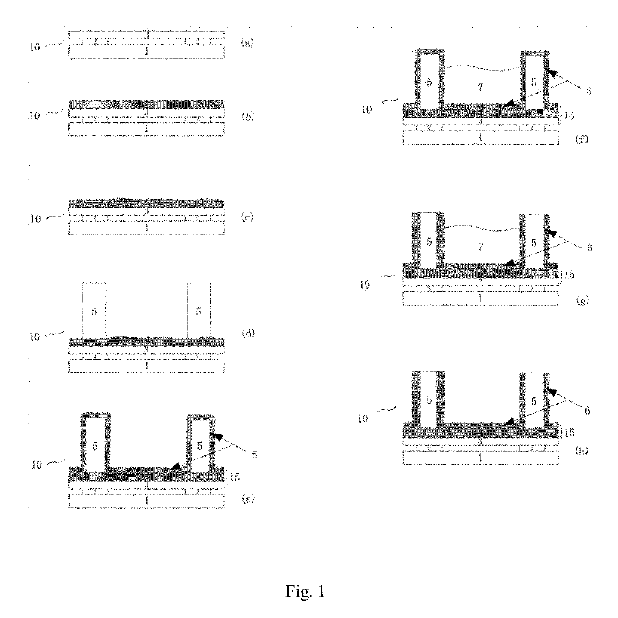 Electrofluidic support plates and preparation method therefor, and electrofluidic apparatus