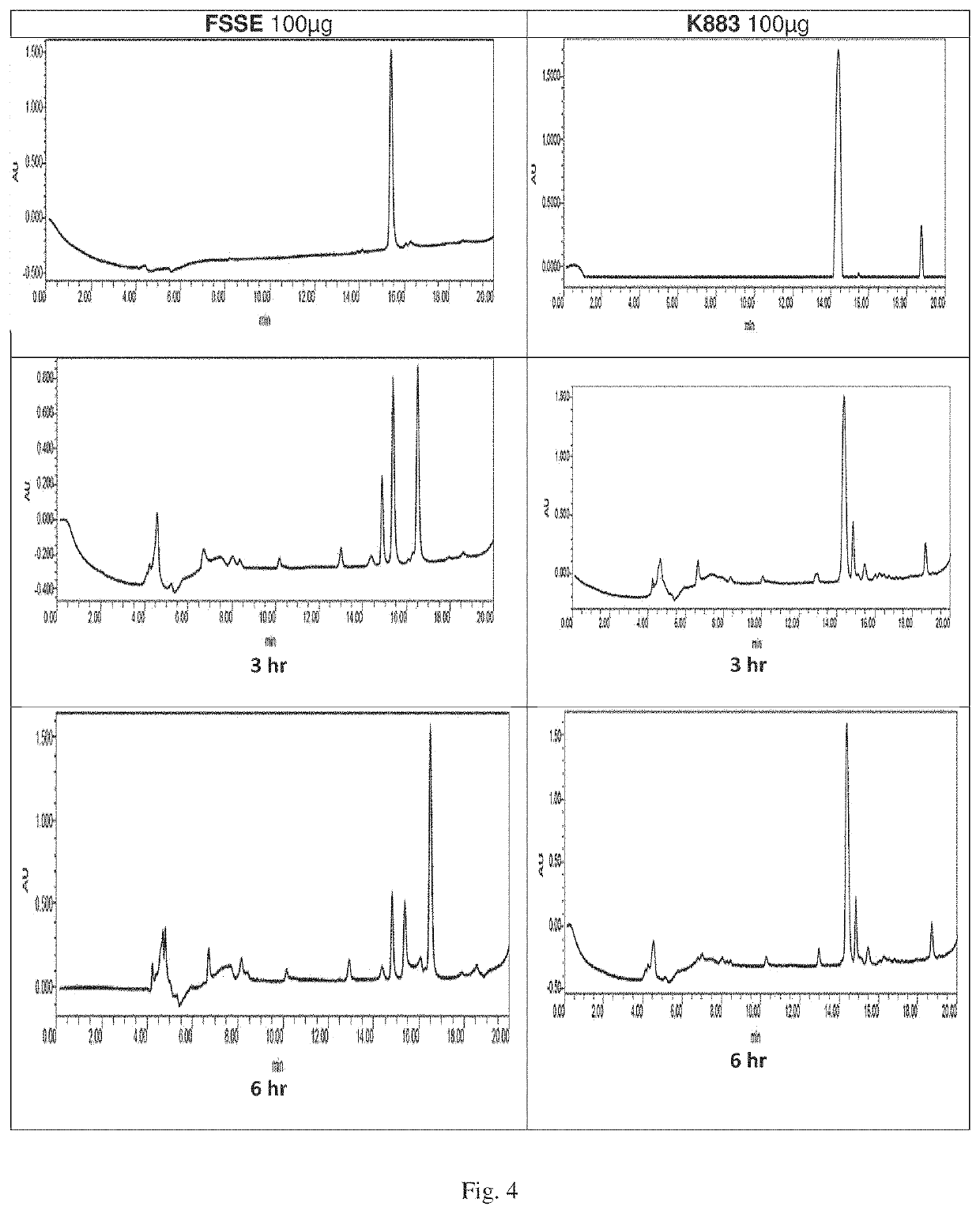 Peptidomimetic agents, synthesis and uses thereof