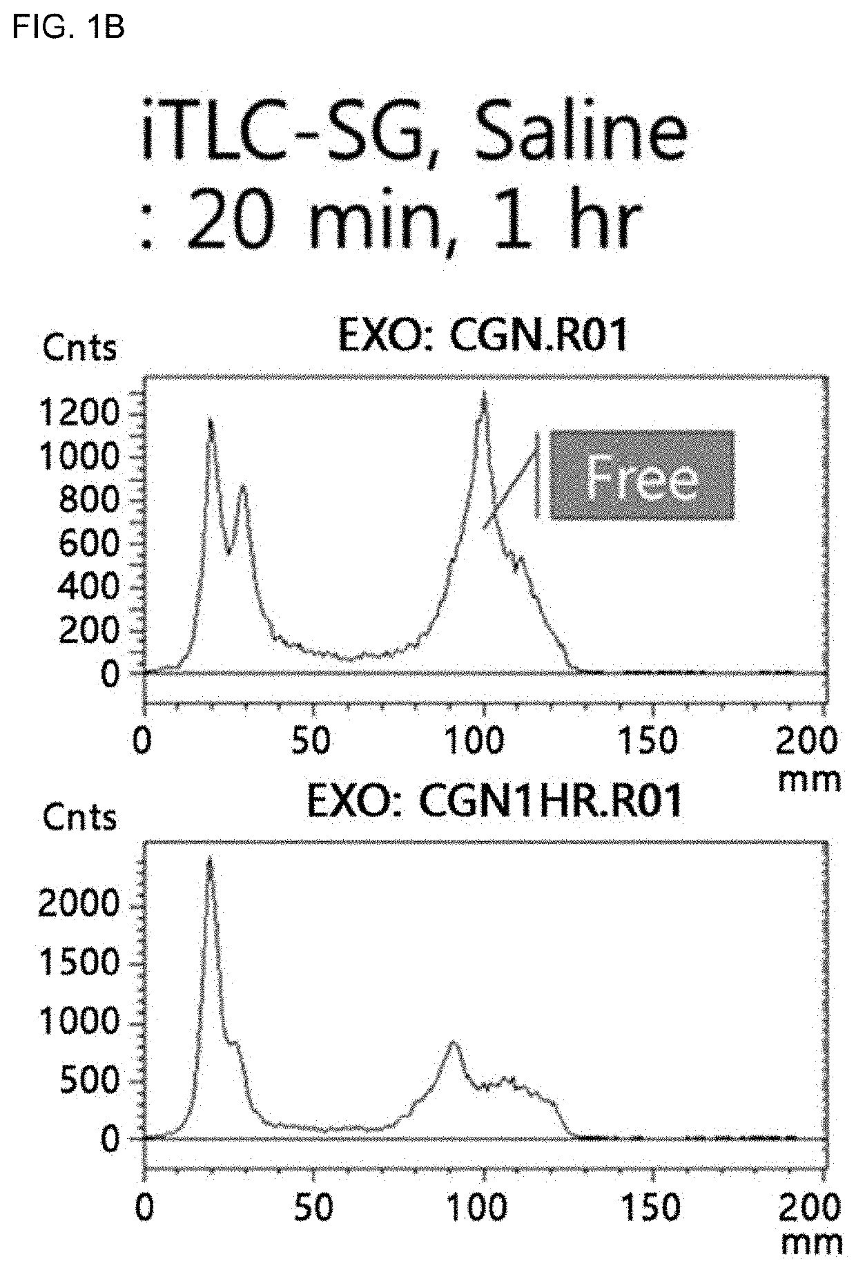 Carrageenan derivative, probe for labelling macrophages, and method for preparing same