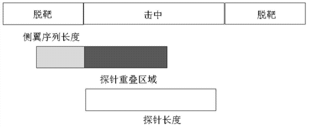 DNA (Deoxyribonucleic Acid) probe library used for hybridization with KRAS gene and method for enriching KRAS gene segments by adopting DNAprobe library