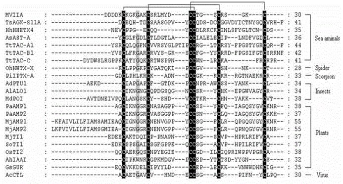 Pain-relief active polypeptide screening method