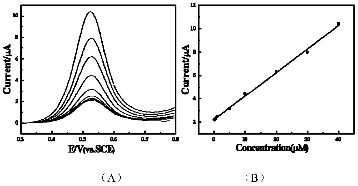 Method for detecting octylphenol in textile based on molecular imprinting technology