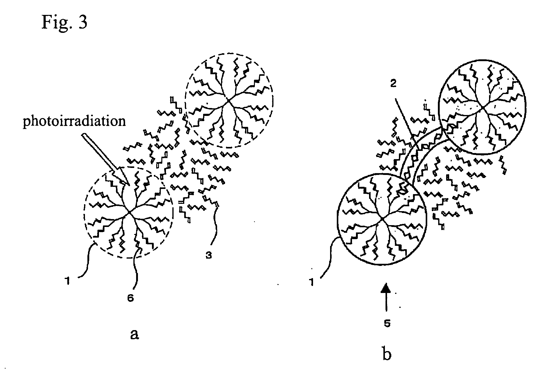 Process for production of molecular devices