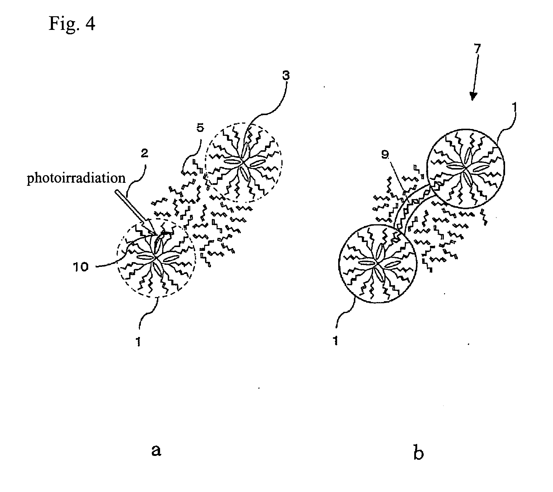 Process for production of molecular devices