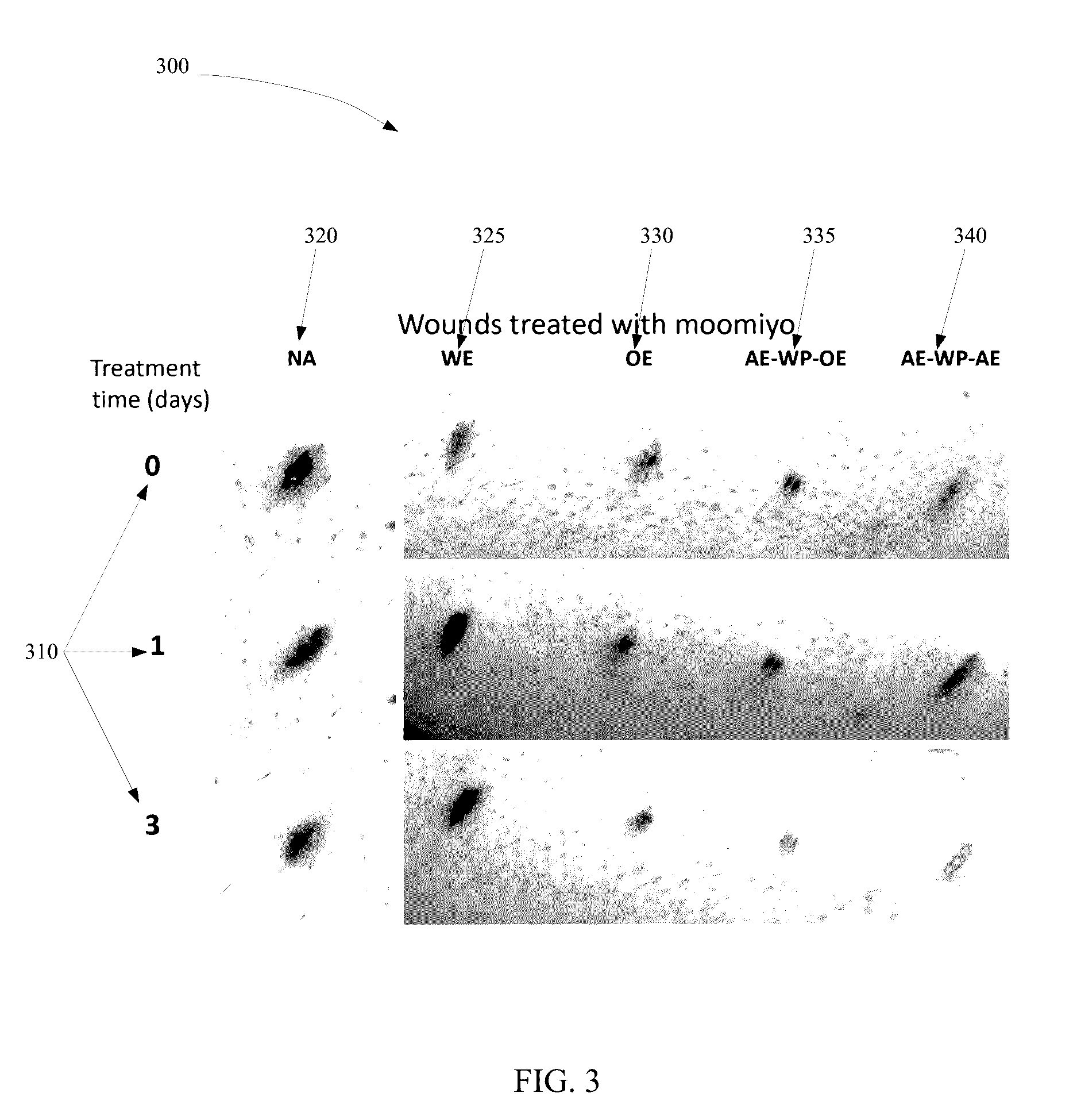 Method and system for extracting and using moomiyo compositions