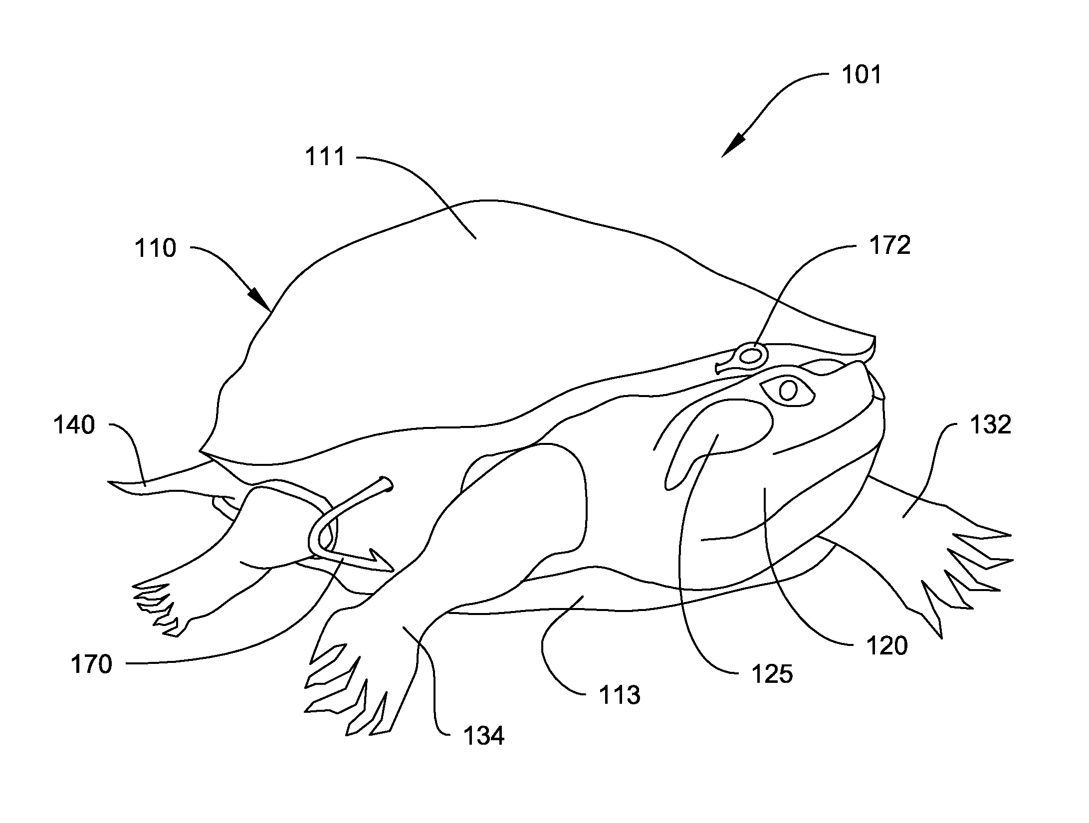 System and Method for Making a Red-Eared Slider Turtle Fishing Lure