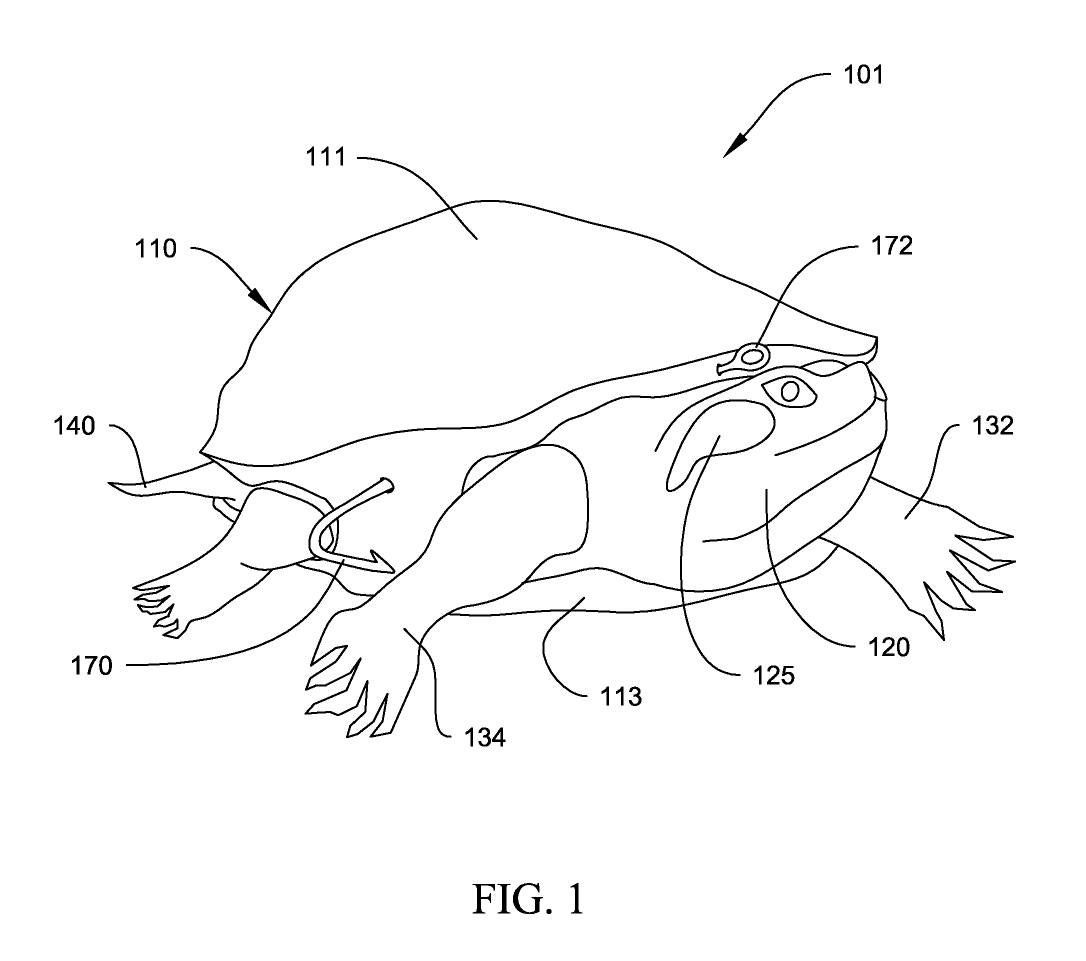 System and Method for Making a Red-Eared Slider Turtle Fishing Lure