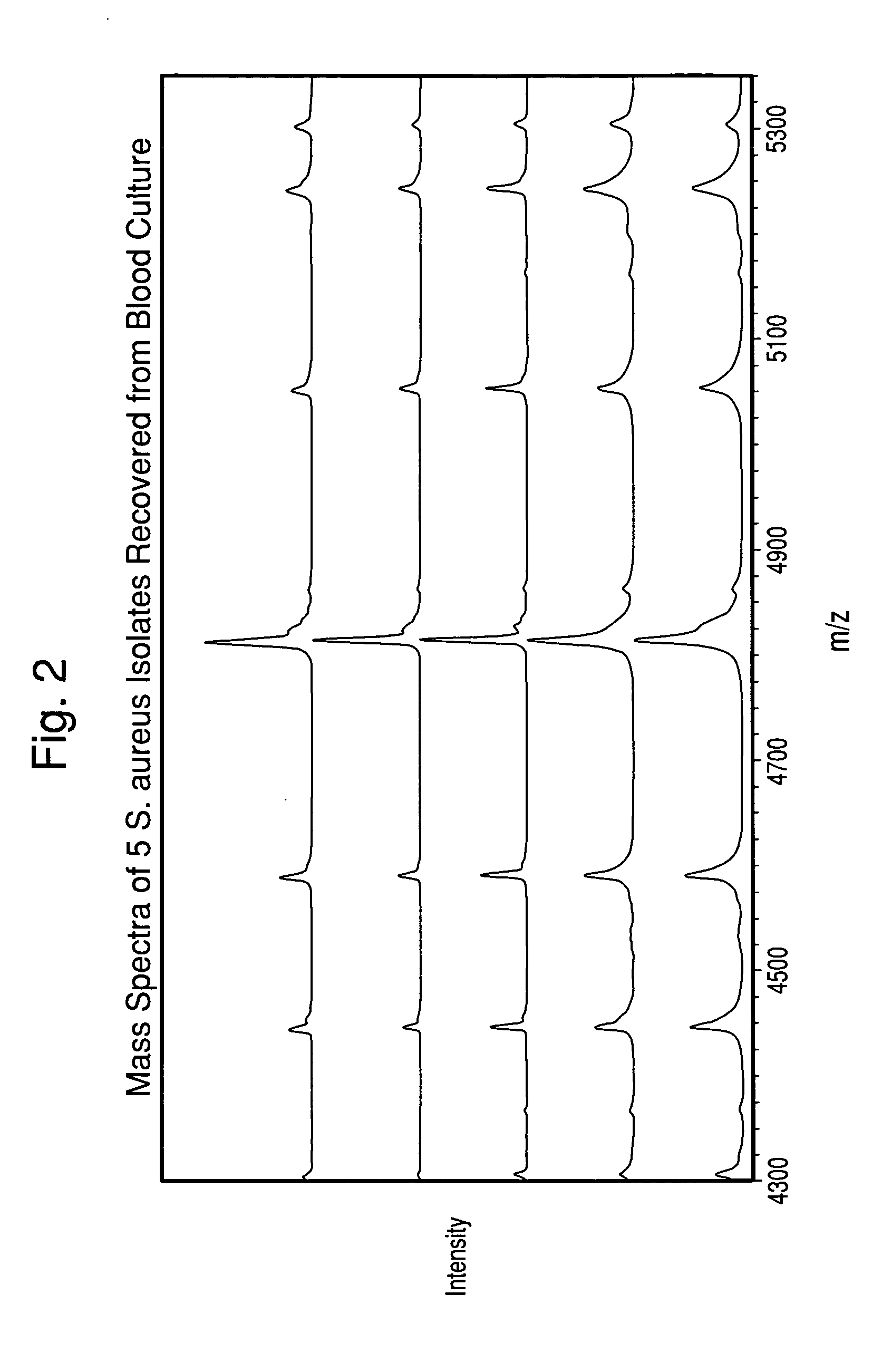 Method for separation, characterization and/or identification of microorganisms using mass spectrometry