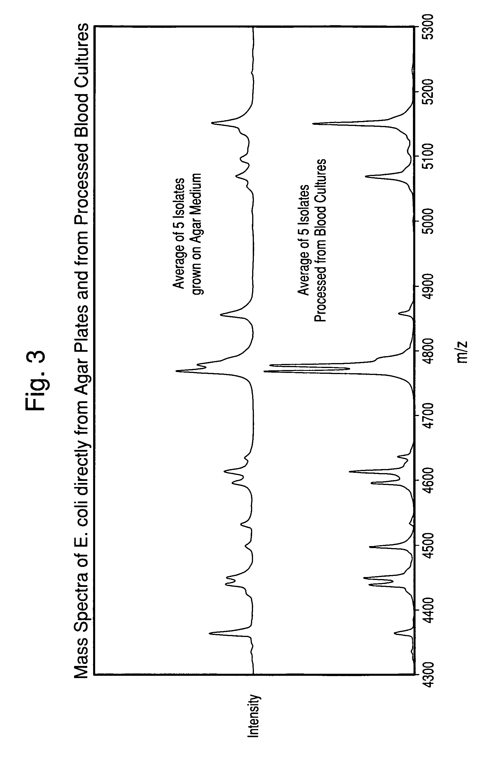 Method for separation, characterization and/or identification of microorganisms using mass spectrometry