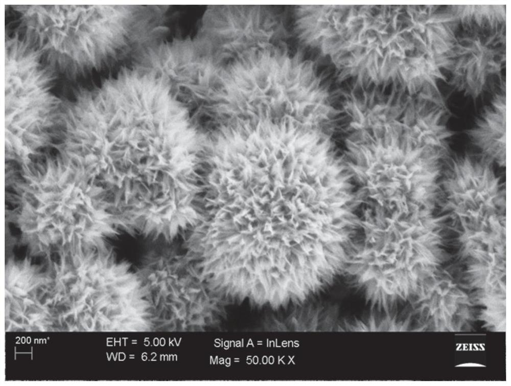 Water body heavy metal real-time detection device and method based on iron oxyhydroxide nano material