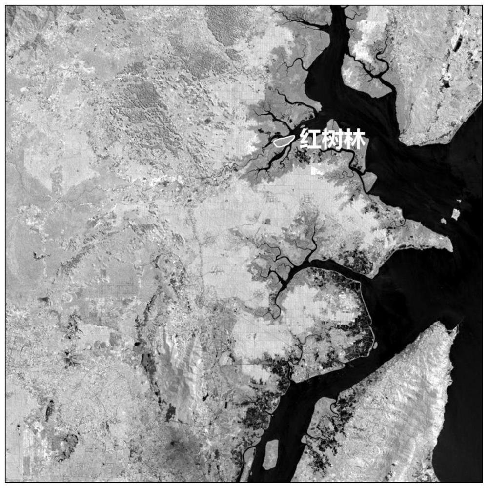 A Remote Sensing Extraction Method of Mangrove Distribution Integrating Geoscience Knowledge