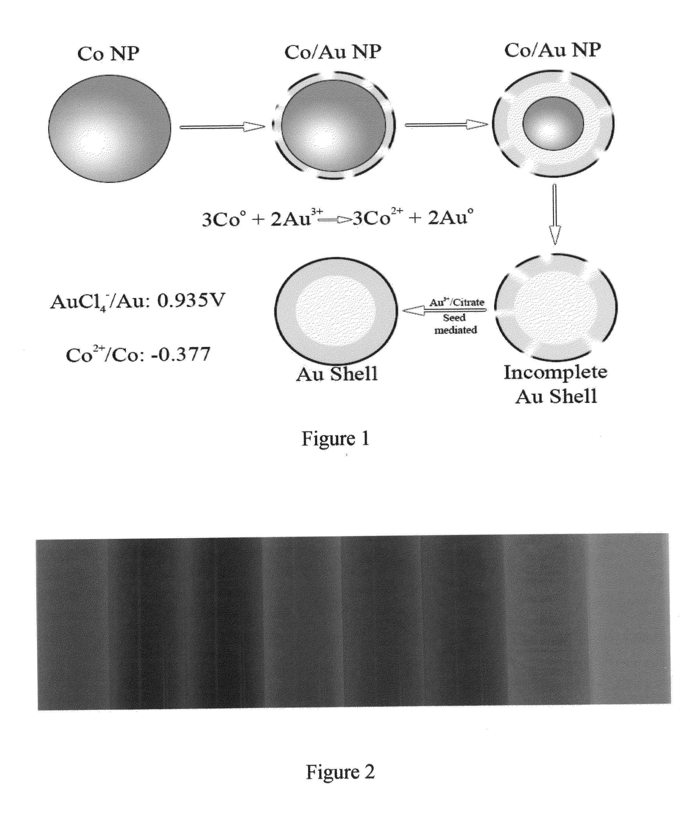 Targeted hollow gold nanostructures and methods of use