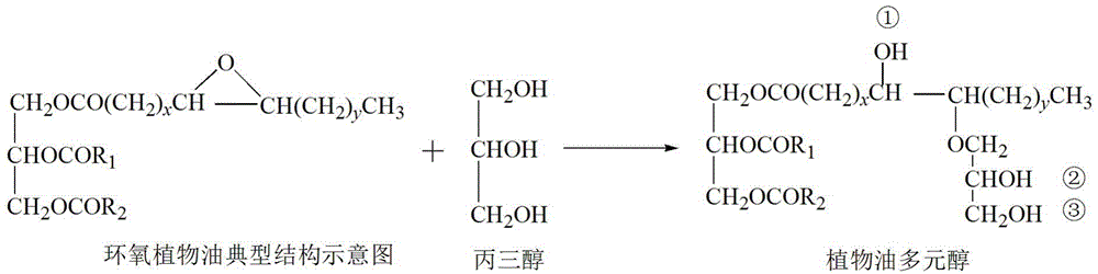 Vegetable oil polyalcohol as well as preparation method and application of vegetable oil polyalcohol
