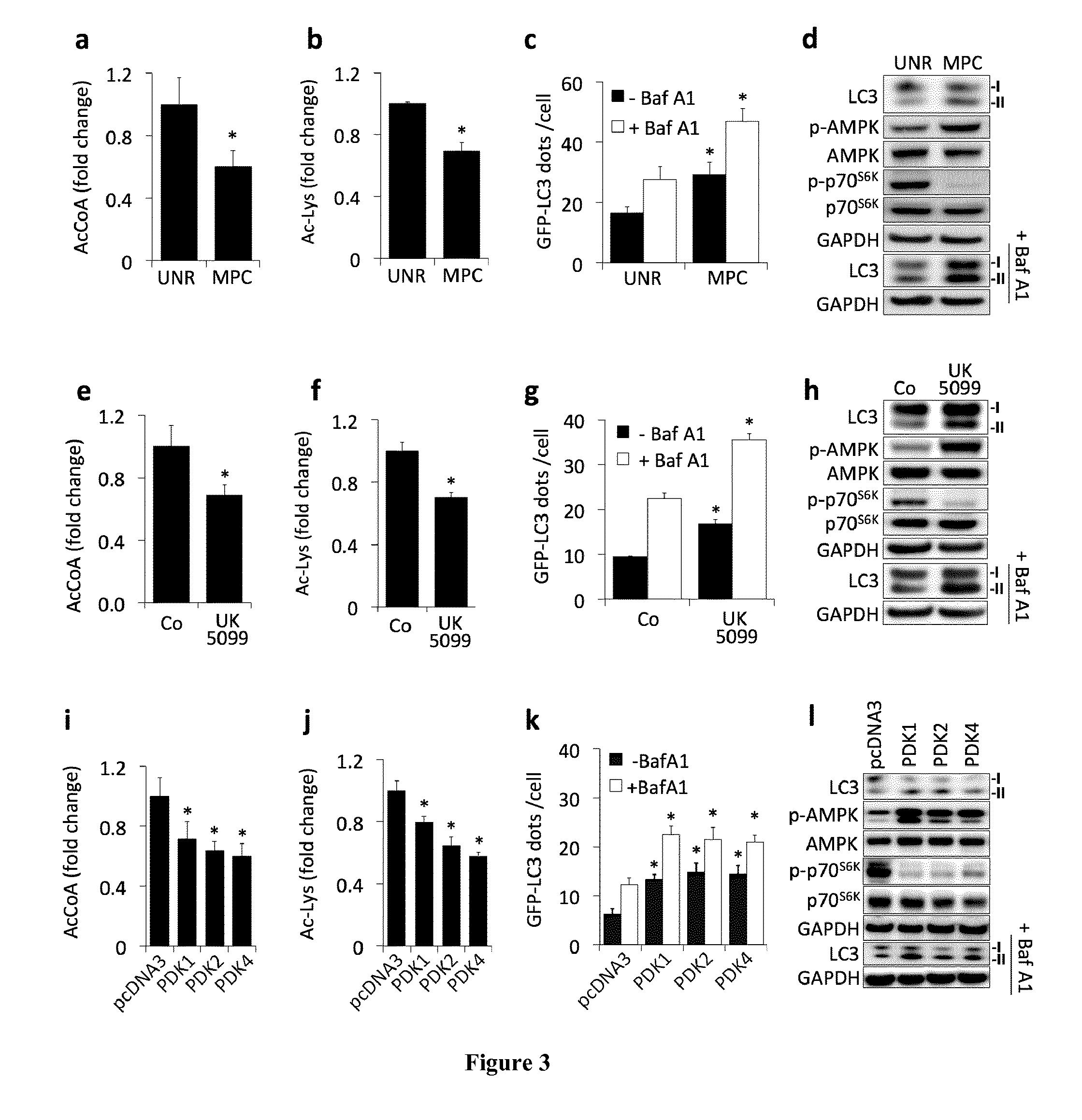 Methods and pharmaceutical compositions for modulating autophagy in a subject in need thereof
