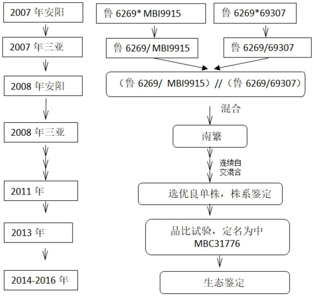 Breeding method for high-quality characters of hybrid cotton