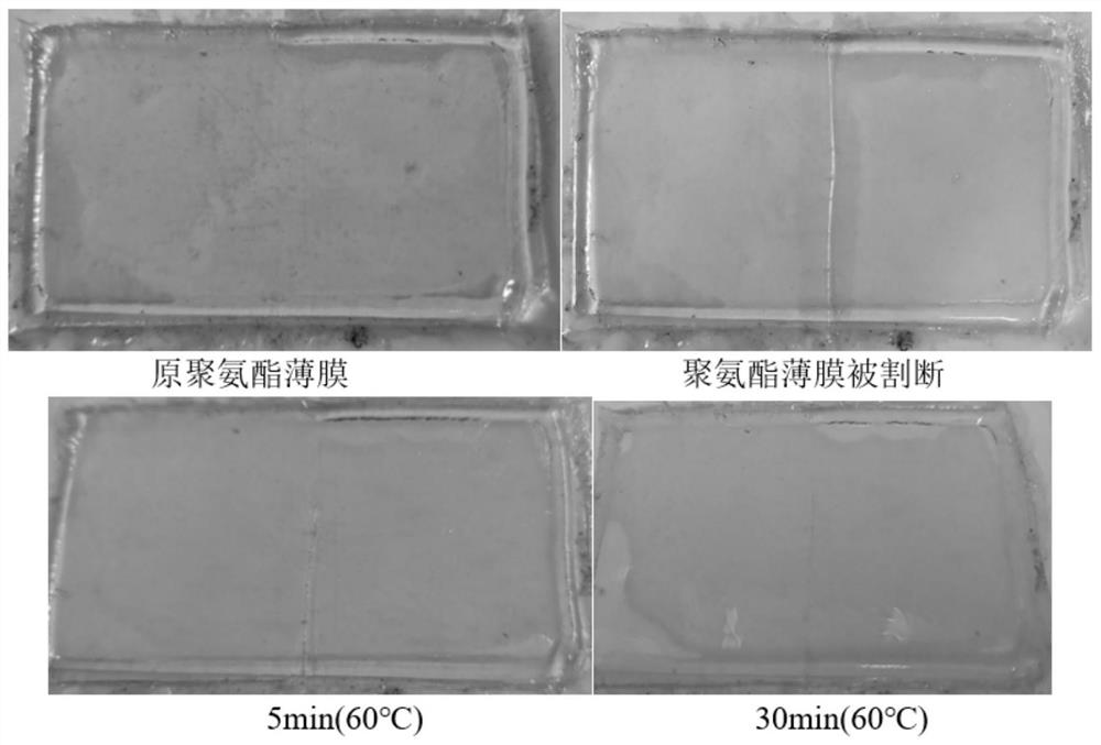 Self-repairing waterborne polyurethane film and preparation method thereof