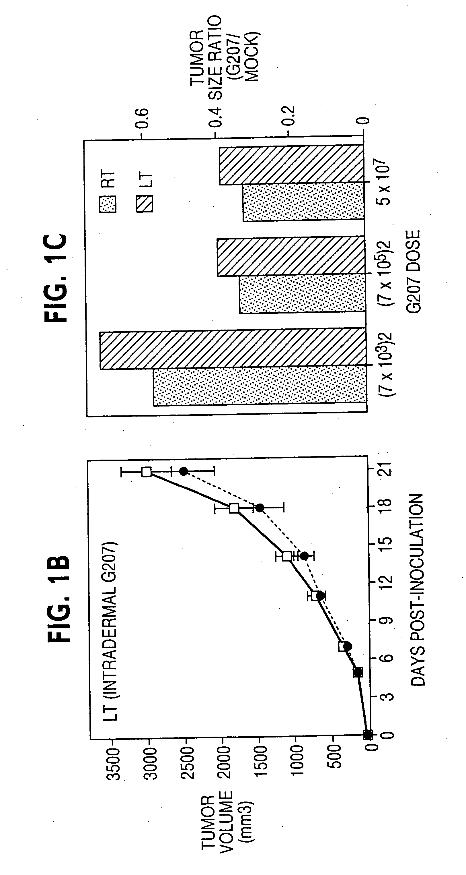 Use of herpes vectors for tumor therapy